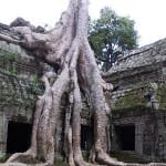 Ta Prohm – Mystère du voyage au Cambodge